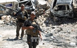 Các lực lượng Iraq đẩy mạnh chiến dịch giải phóng Mosul 